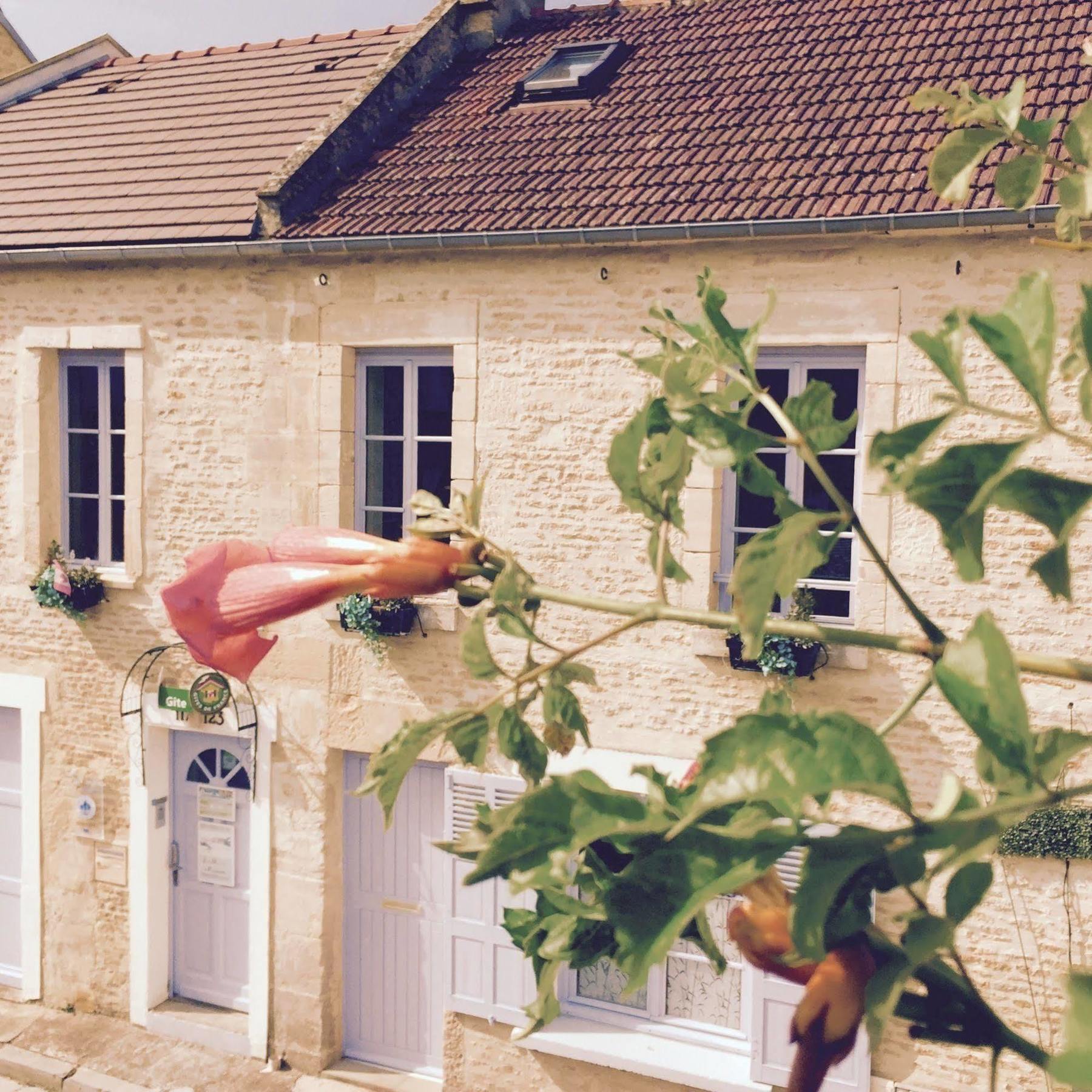 Junogite - Residence Bernières-sur-Mer Exteriér fotografie